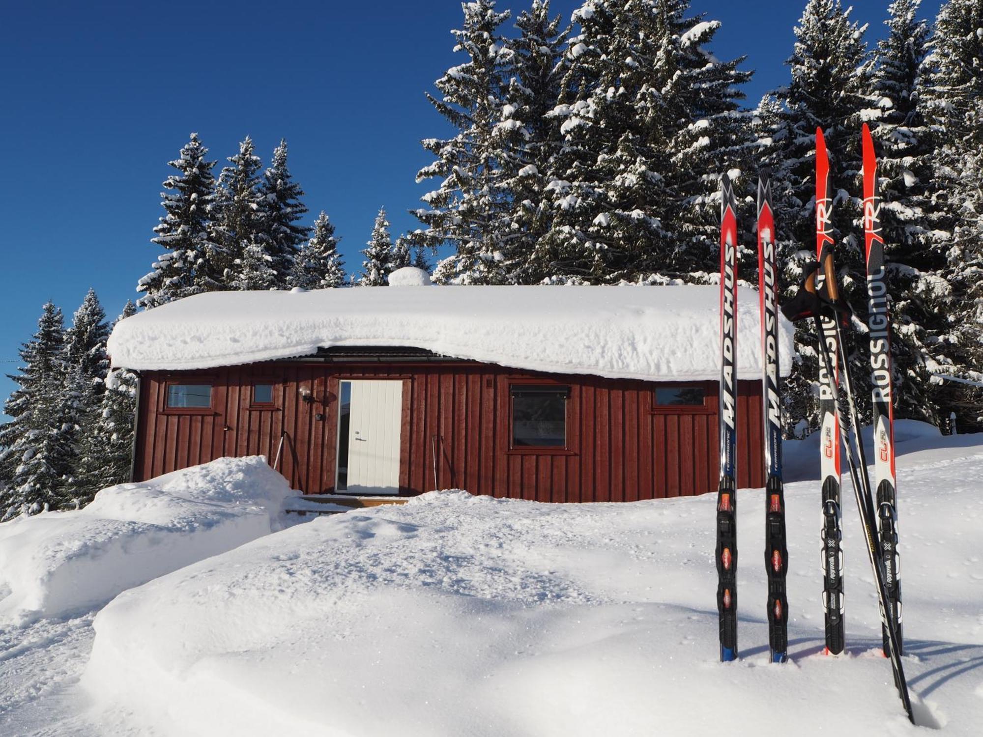 Cabin With Great View Close To Town And Ski Area Лиллехамер Экстерьер фото